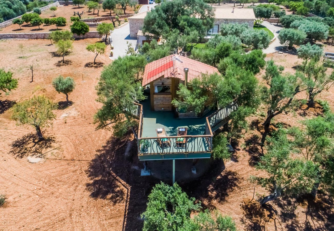 Domaine à Ariany - Finca Sa Canova Ariany avec piscine et maison dans les arbres à Majorque