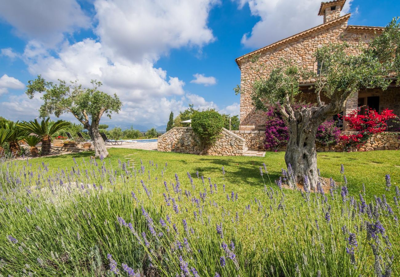 Domaine à Muro - Finca rurale à Muro Sa Font avec piscine