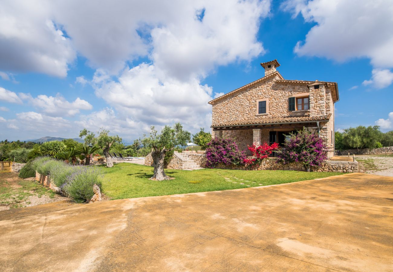 Domaine à Muro - Finca rurale à Muro Sa Font avec piscine