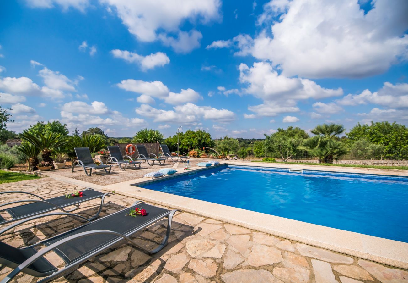 Domaine à Muro - Finca rurale à Muro Sa Font avec piscine