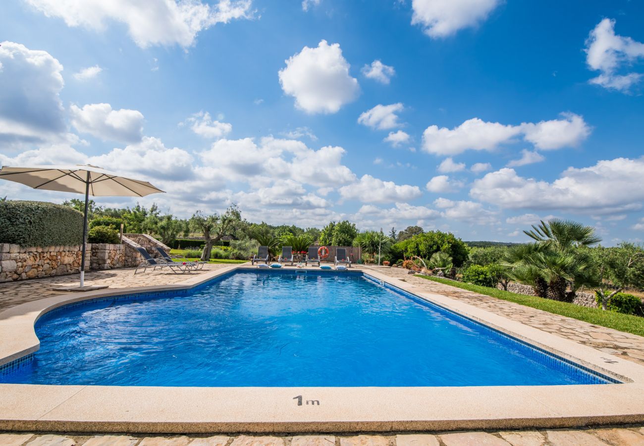 Domaine à Muro - Finca rurale à Muro Sa Font avec piscine