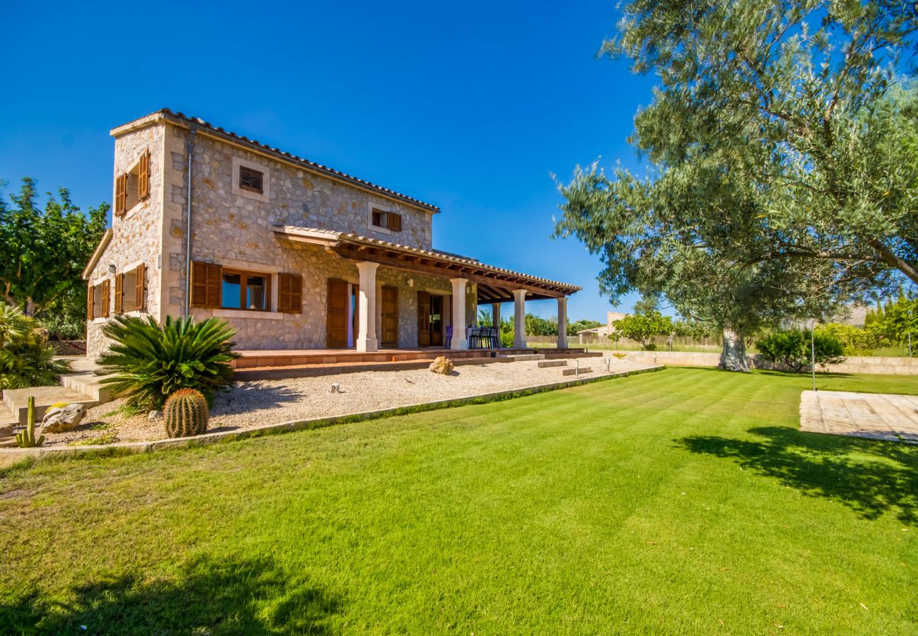 Domaine à Alcudia - Finca Majorquine à Alcudia Ses Poves avec piscine