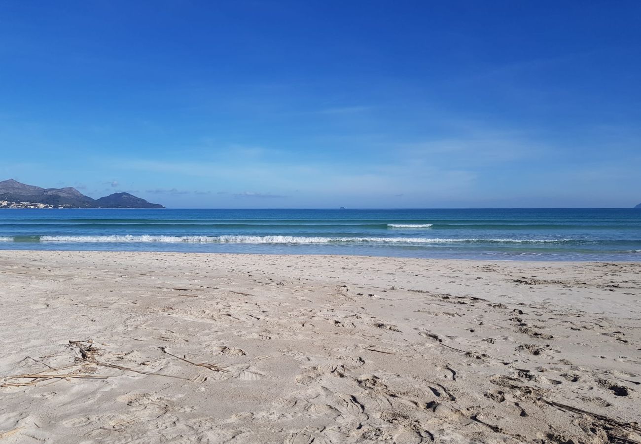 Domaine à Alcudia - Finca Majorquine à Alcudia Ses Poves avec piscine