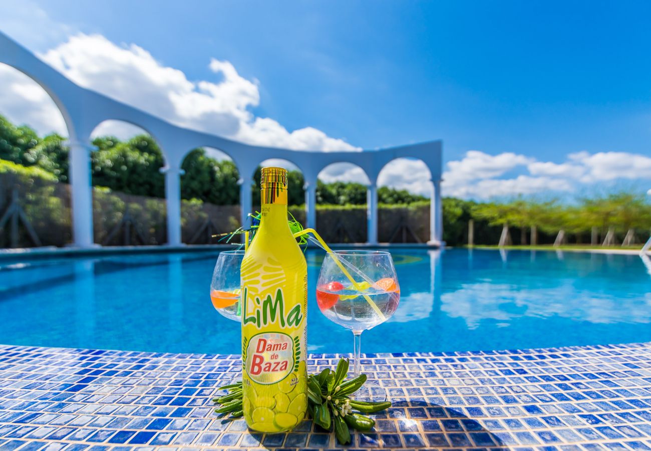 Domaine à Sa Pobla - Finca Son Manyo 223 avec piscine à Majorque