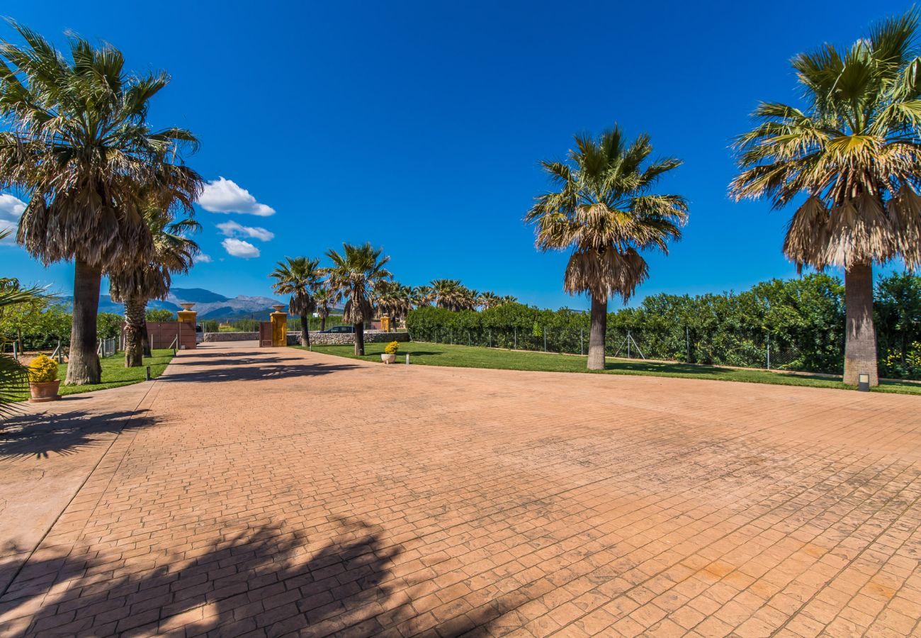 Domaine à Sa Pobla - Finca Son Manyo 223 avec piscine à Majorque