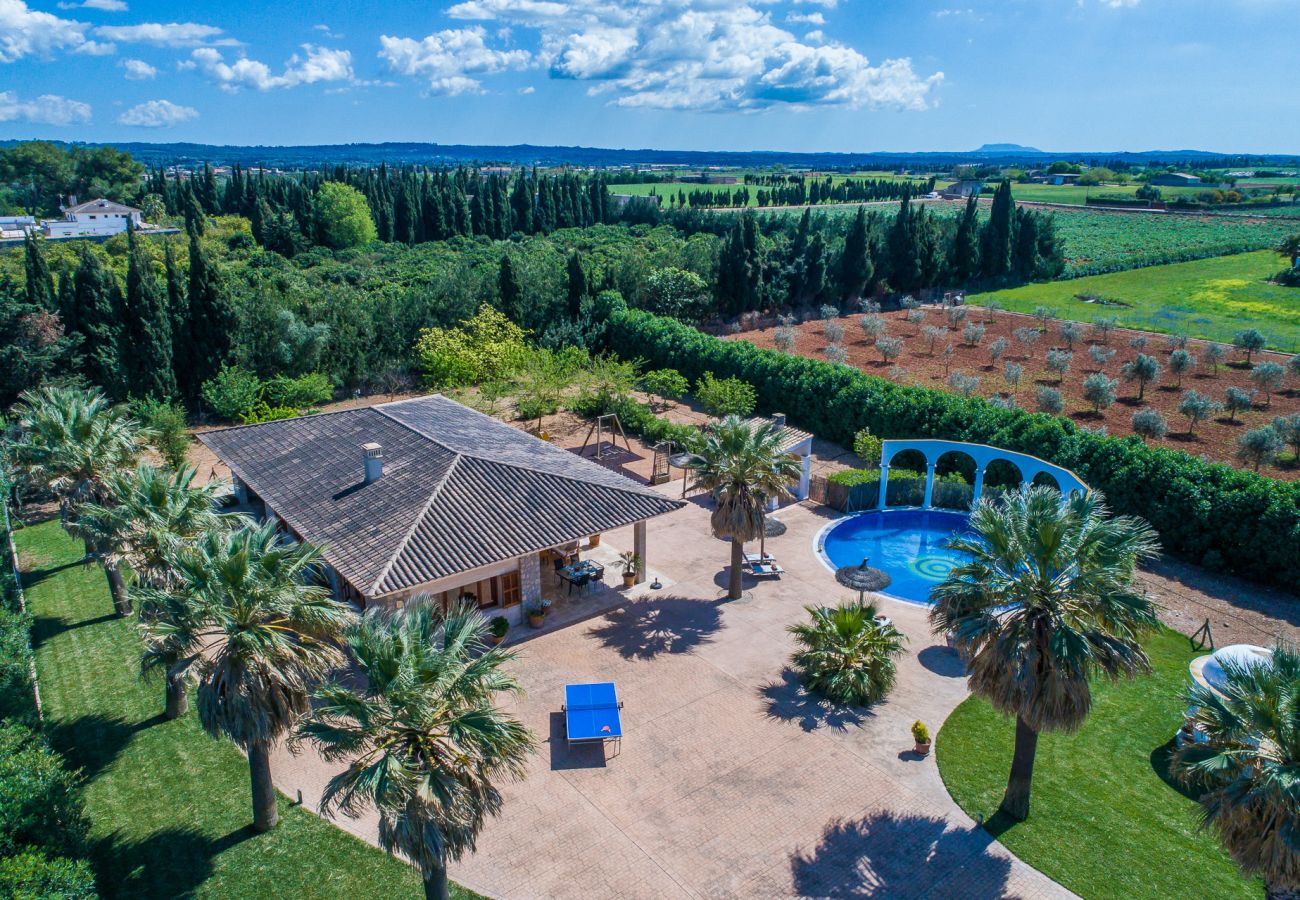 Domaine à Sa Pobla - Finca Son Manyo 223 avec piscine à Majorque