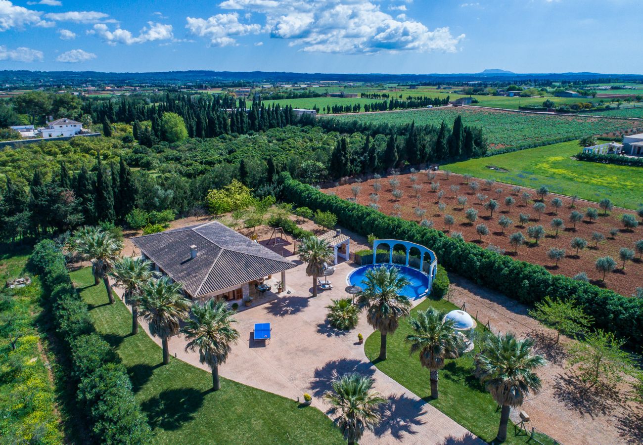 Domaine à Sa Pobla - Finca Son Manyo 223 avec piscine à Majorque