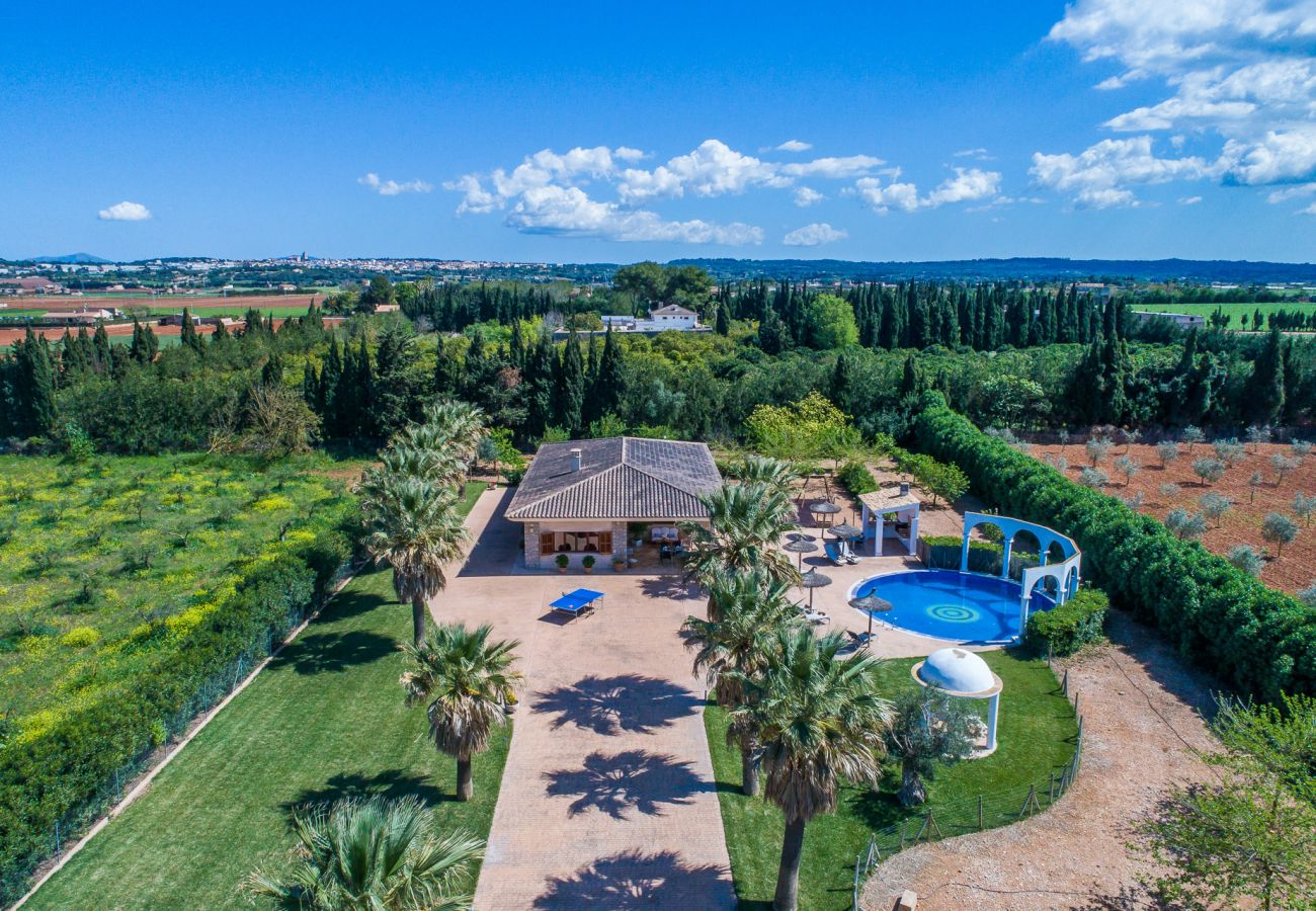 Domaine à Sa Pobla - Finca Son Manyo 223 avec piscine à Majorque