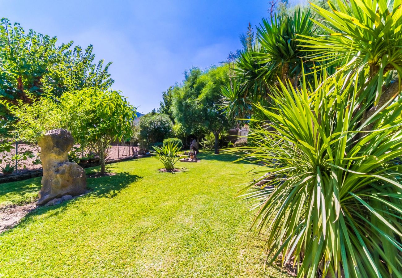 Domaine à Pollensa - Finca rustique à Pollensa Sa Sort Llarga avec piscine