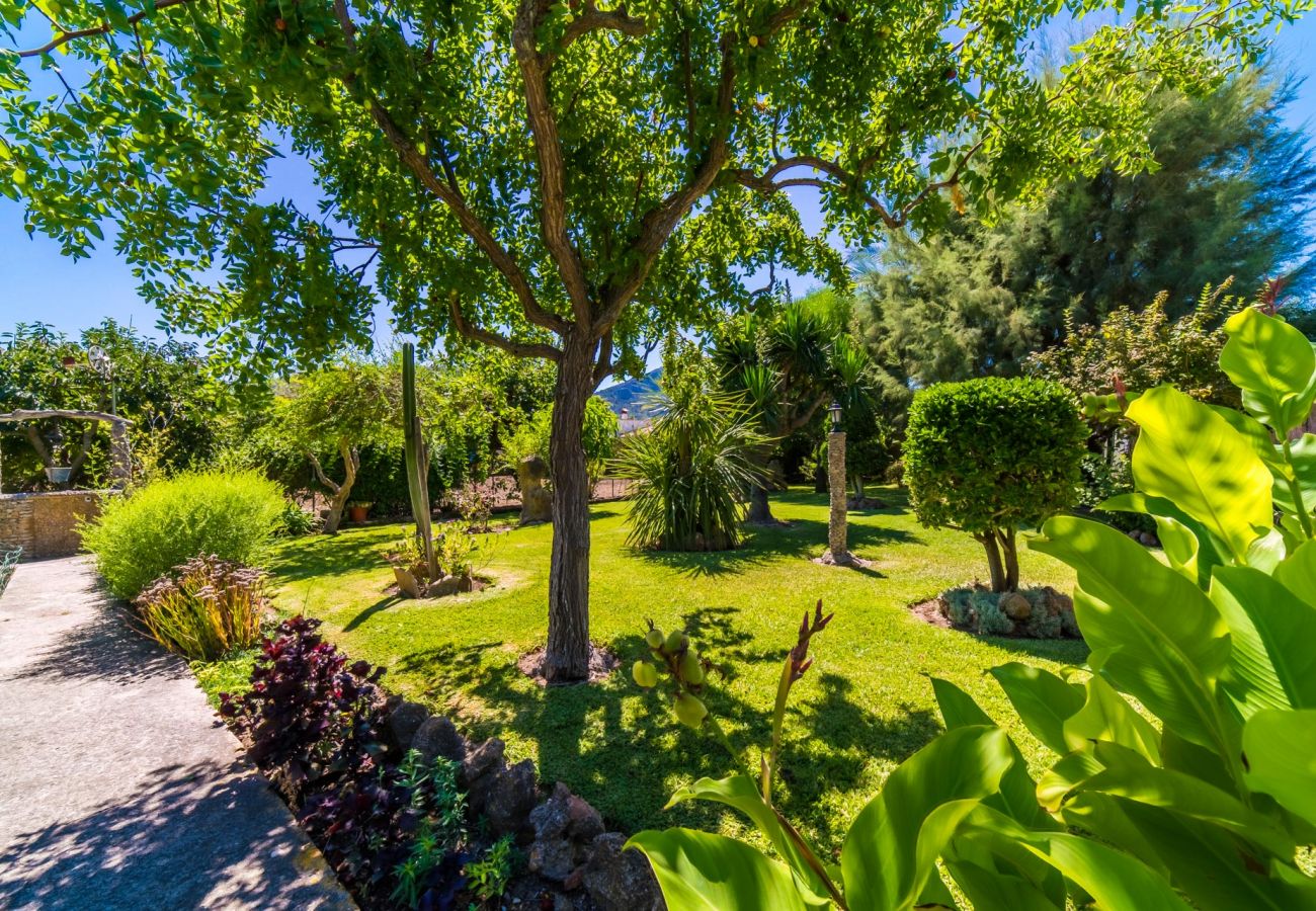 Domaine à Pollensa - Finca rustique à Pollensa Sa Sort Llarga avec piscine