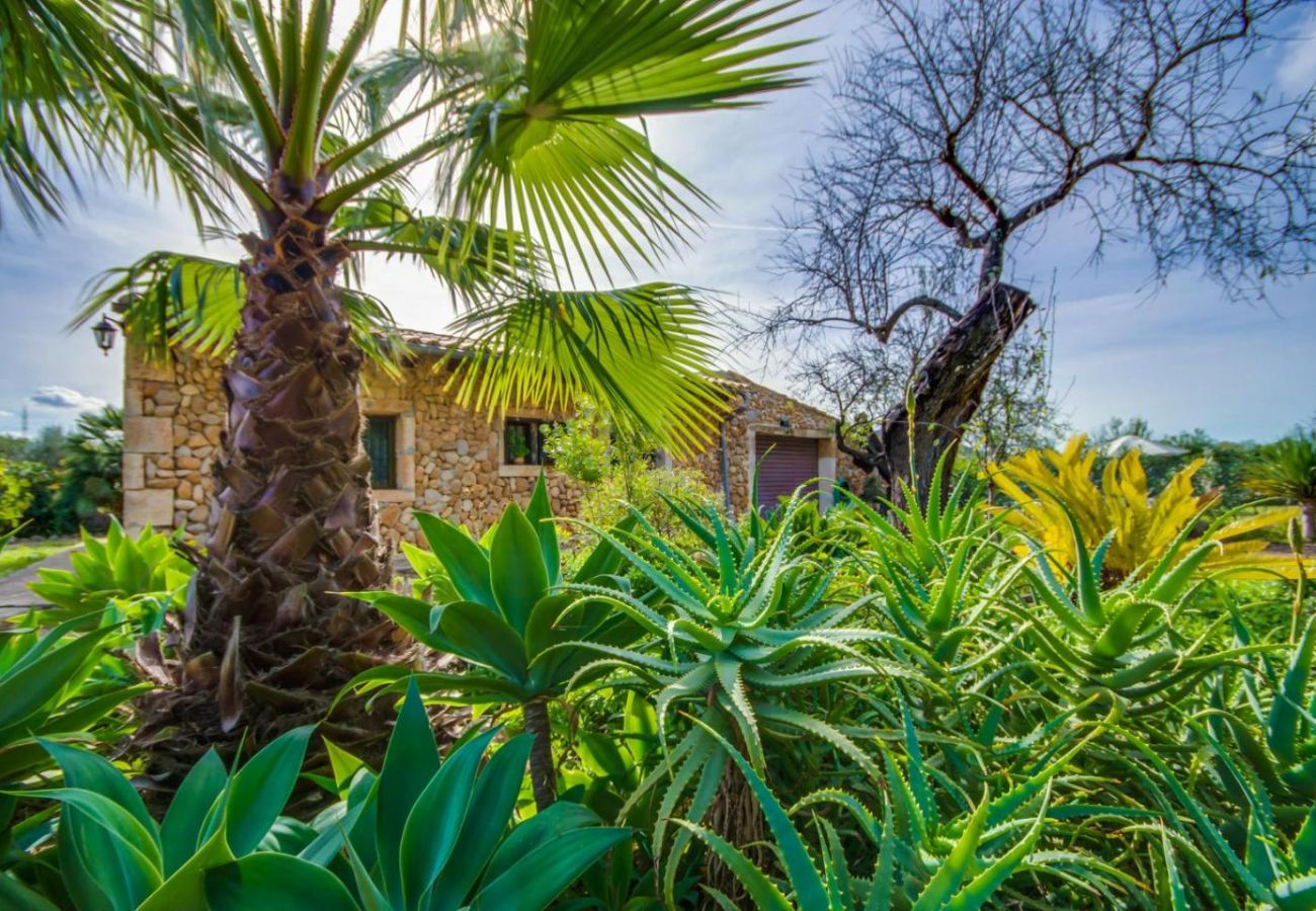 Domaine à Buger - Finca rurale Sa Figuera Blanca avec piscine à Majorque