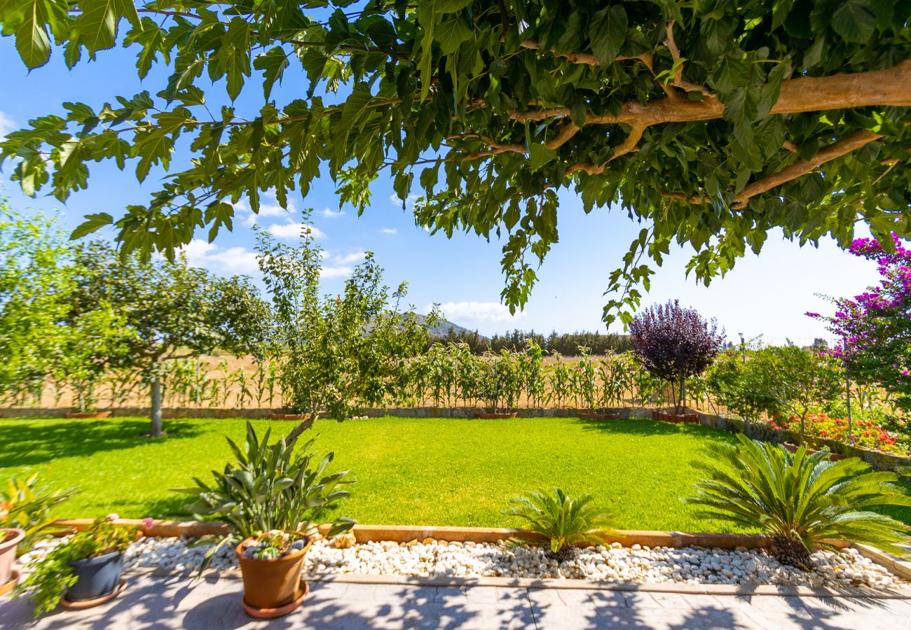 Domaine à Sa Pobla - Finca durable Sa Vela de Son Puig à Majorque.