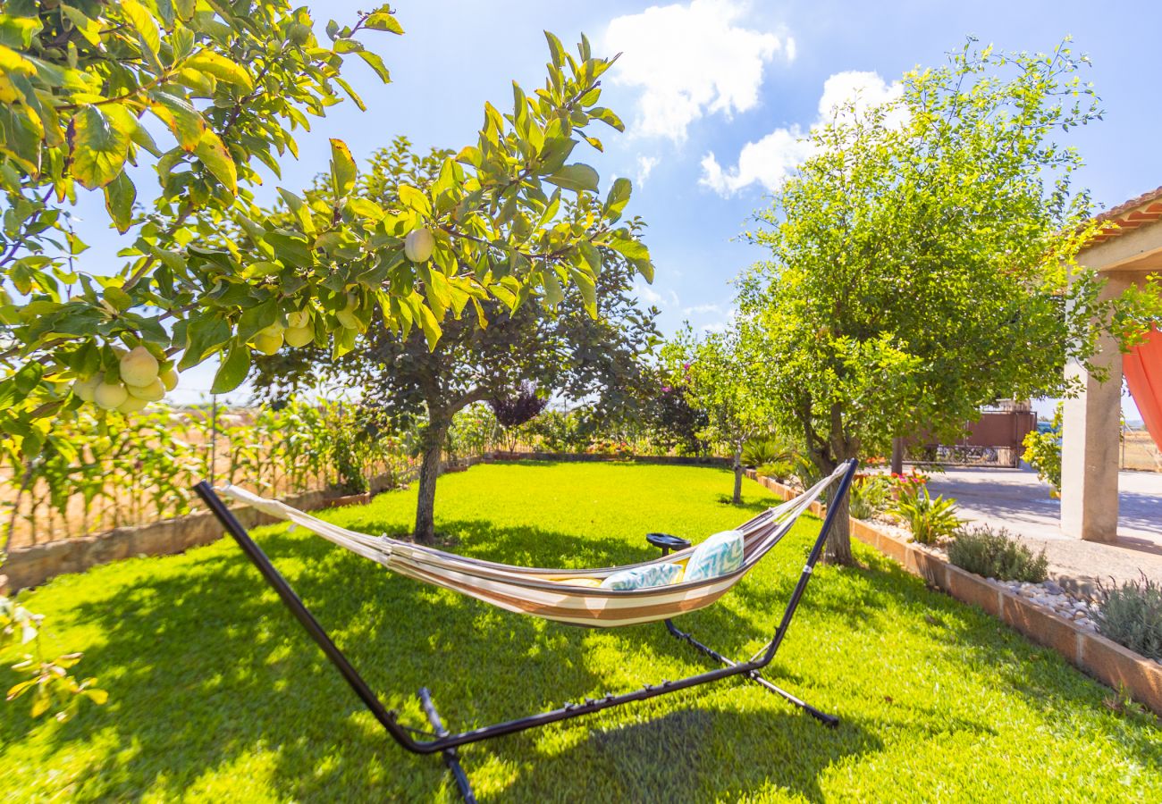 Maison avec terrasse, barbecue et piscine à Majorque