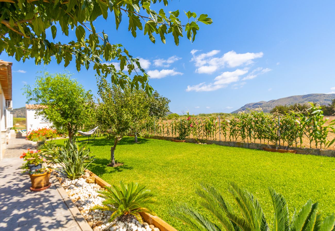 Domaine à Sa Pobla - Finca durable Sa Vela de Son Puig à Majorque.