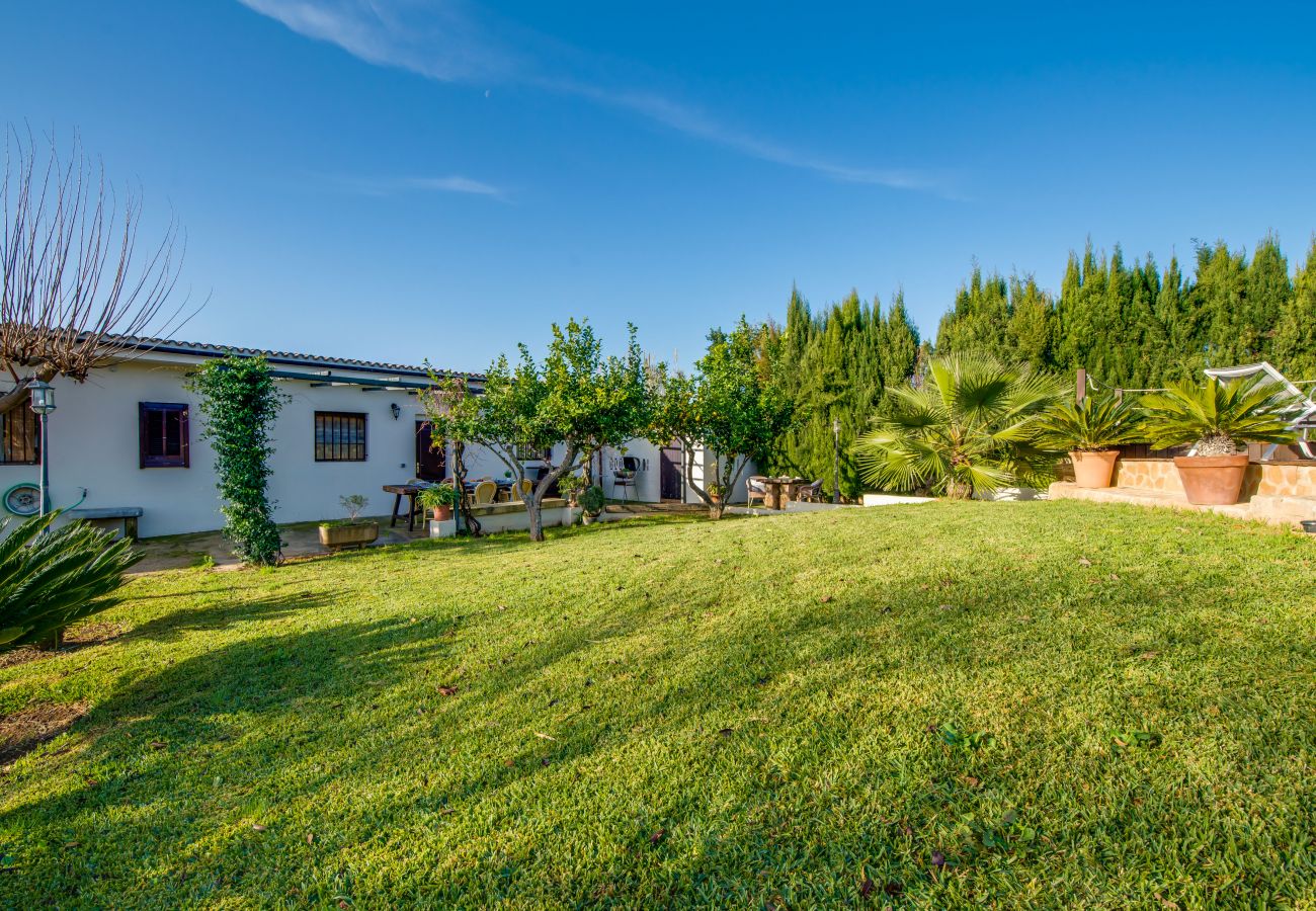 Domaine à Alcudia - Finca Alcudia Sa Vinya Vella près de la plage avec piscine