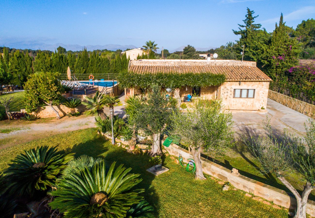 Domaine à Alcudia - Finca Alcudia Sa Vinya Vella près de la plage avec piscine