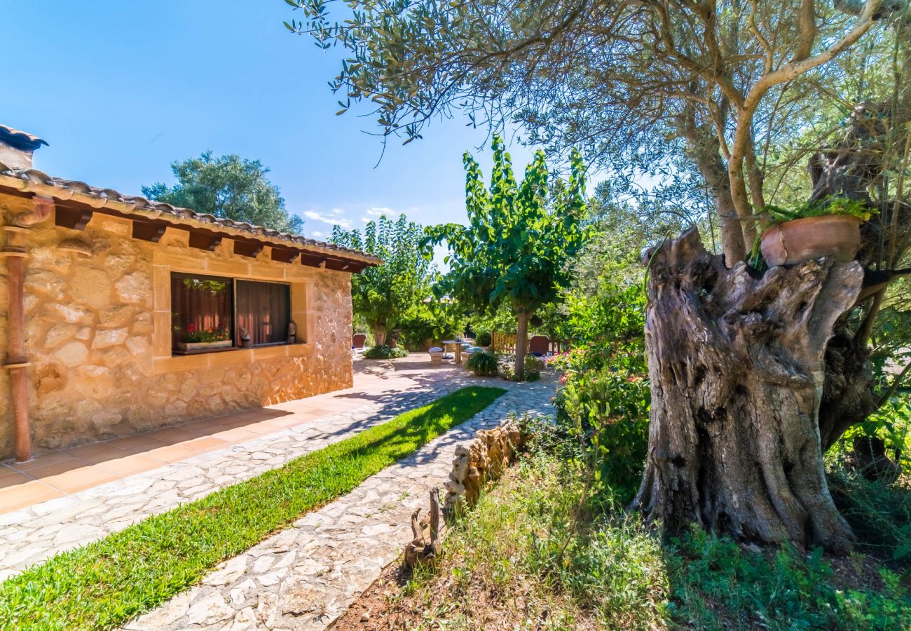 Domaine à Capdepera - Finca au milieu de la nature à Na Babayana à Majorque