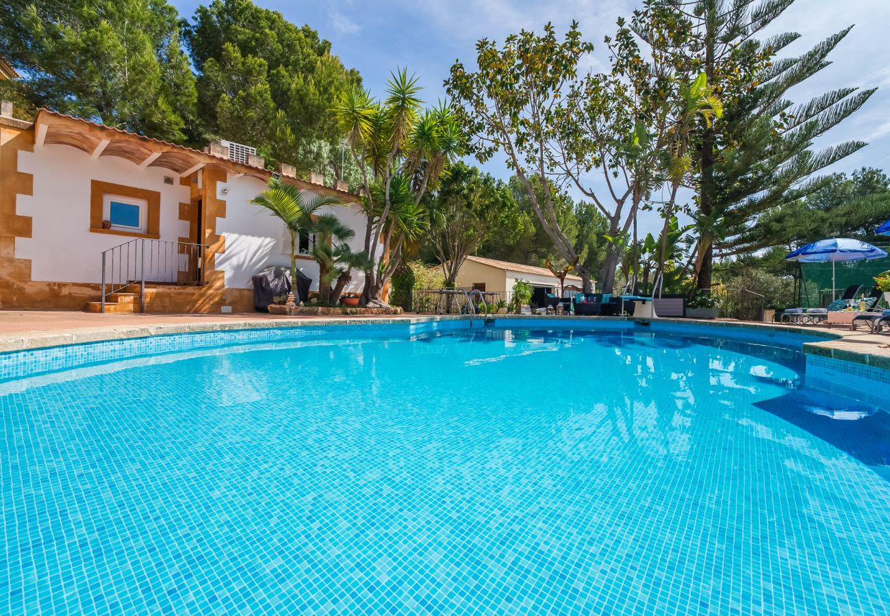 Appartement à Cala Mesquida - Appartement Sol de Mallorca 1 avec piscine