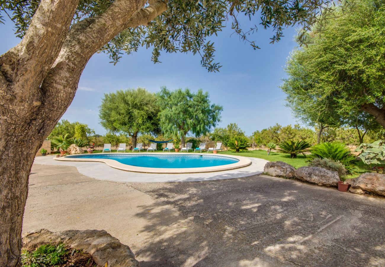 Domaine à Santa Margalida - Finca Vernissa à côté de Can Picafort avec piscine privée