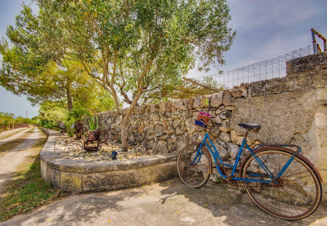 Domaine à Santa Margalida - Finca Vernissa à côté de Can Picafort avec piscine privée