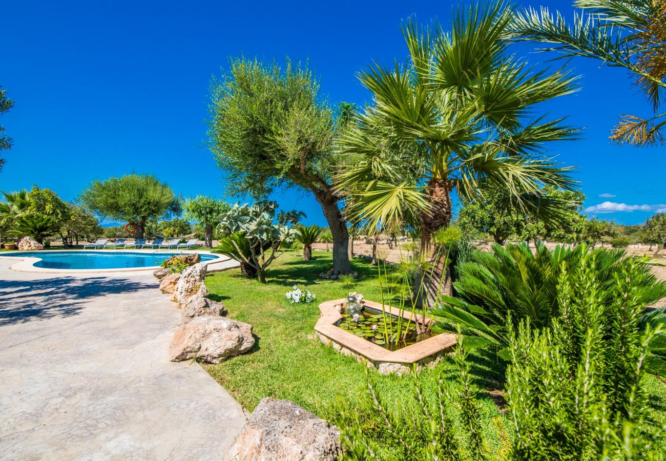 Domaine à Santa Margalida - Finca Vernissa à côté de Can Picafort avec piscine privée