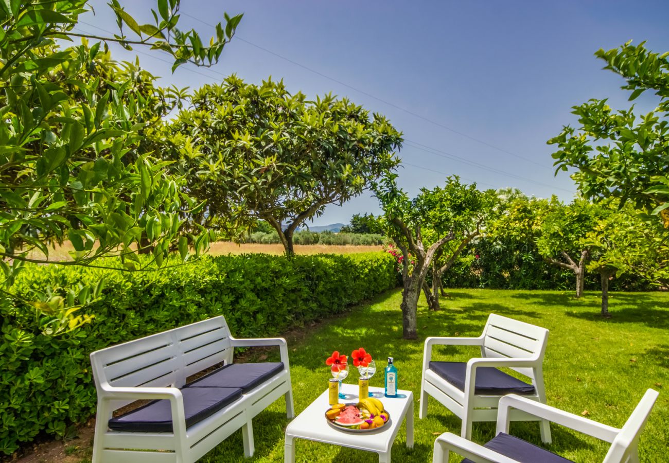 Domaine à Alcudia - Villa Maria, une finca avec piscine à Alcudia.