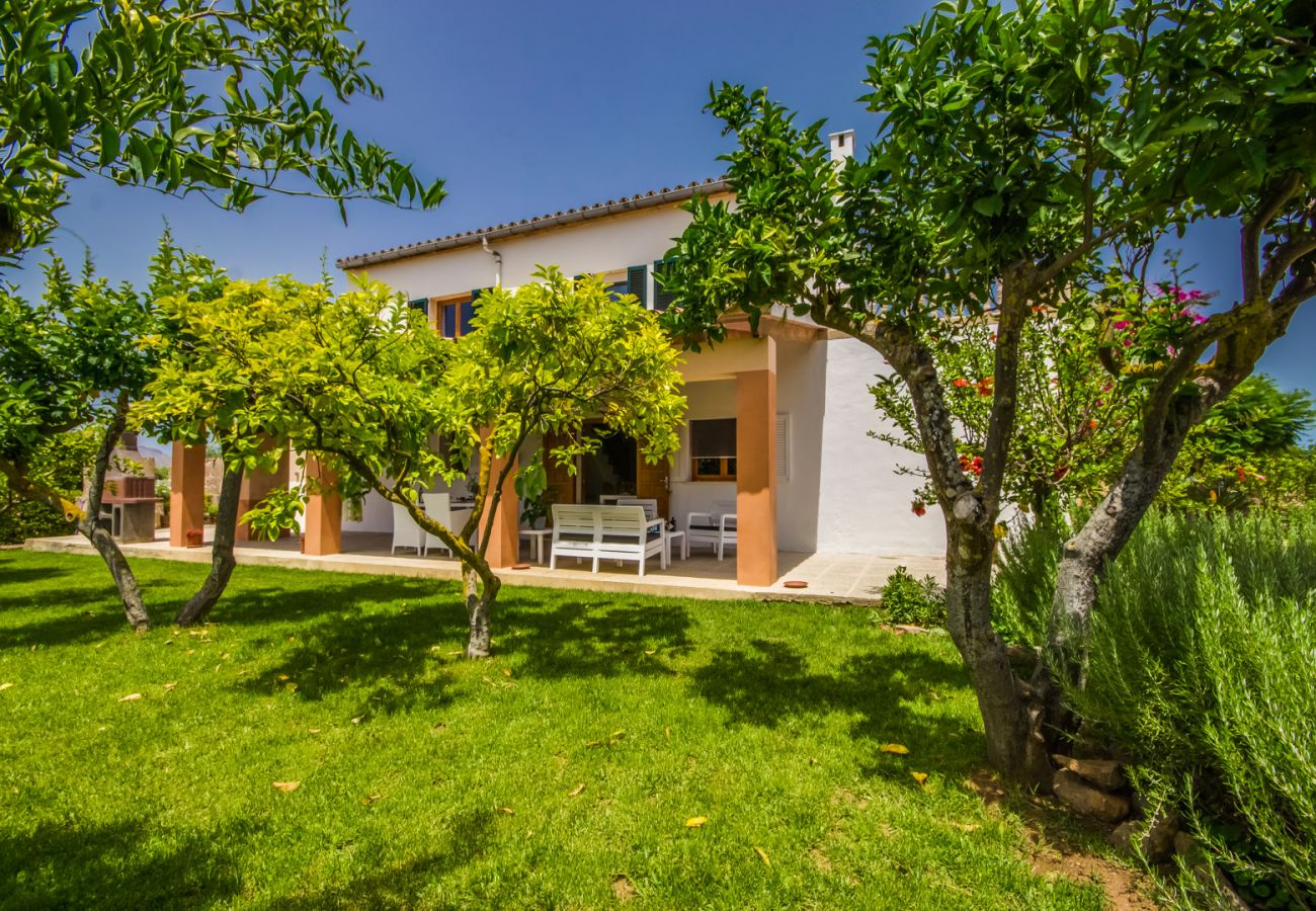 Domaine à Alcudia - Villa Maria, une finca avec piscine à Alcudia.