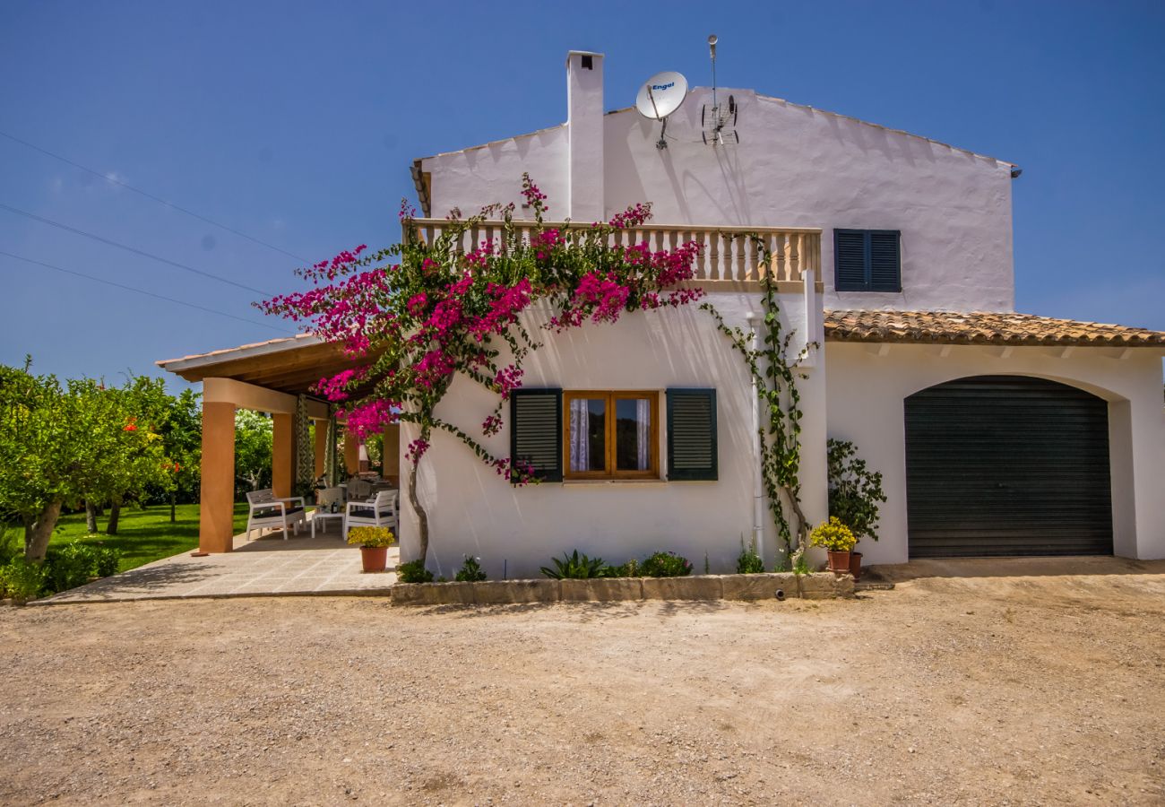 Domaine à Alcudia - Villa Maria, une finca avec piscine à Alcudia.