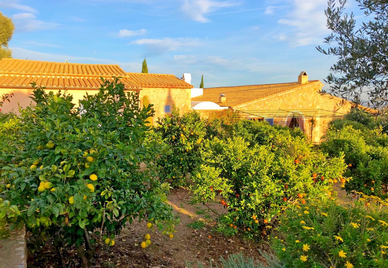 Domaine à Arta - Luxueuse Finca à Majorque avec piscine Florinda de Bali