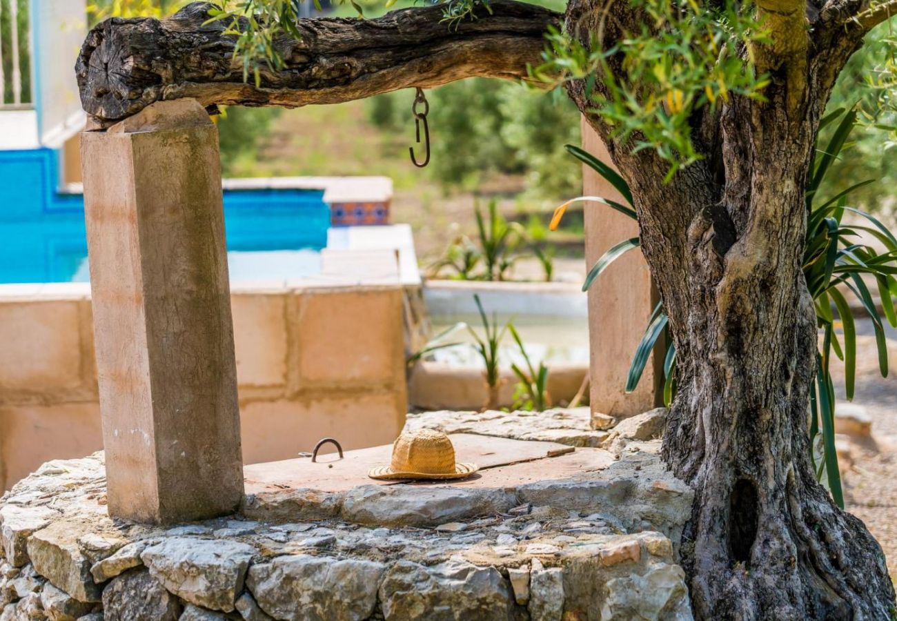 Domaine à Selva - Villa rurale à Majorque, Ses Comes, avec piscine