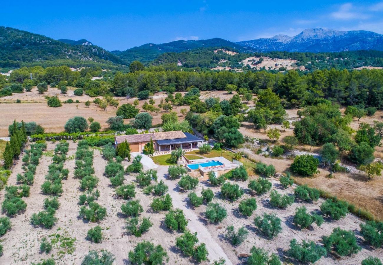 Domaine à Selva - Villa rurale à Majorque, Ses Comes, avec piscine