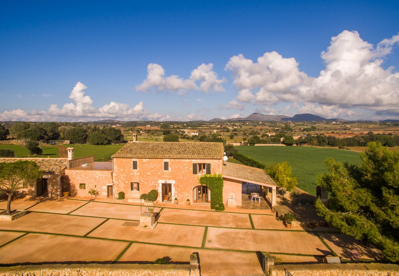 Domaine à Manacor - Villa moderne à Majorque Pleta avec piscine