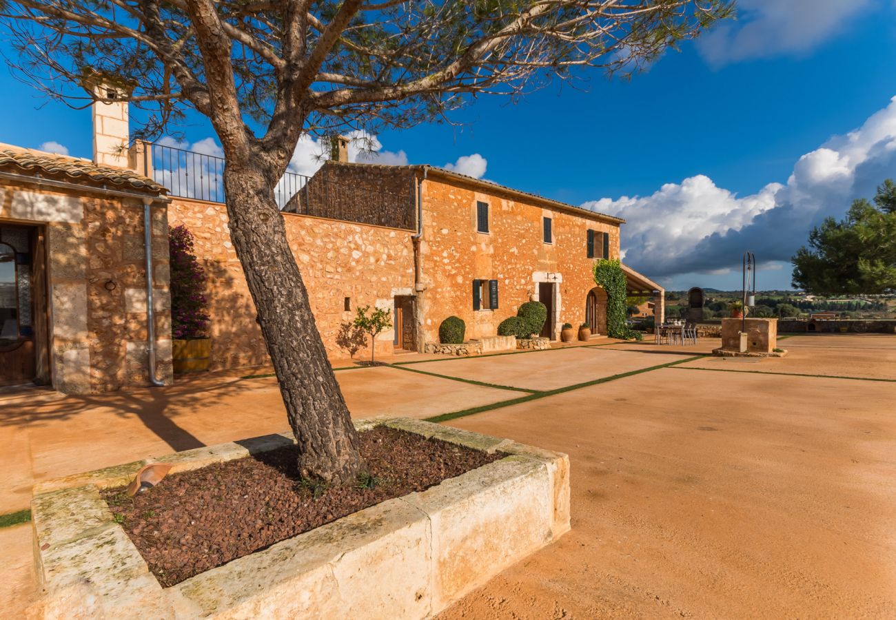 Domaine à Manacor - Villa moderne à Majorque Pleta avec piscine