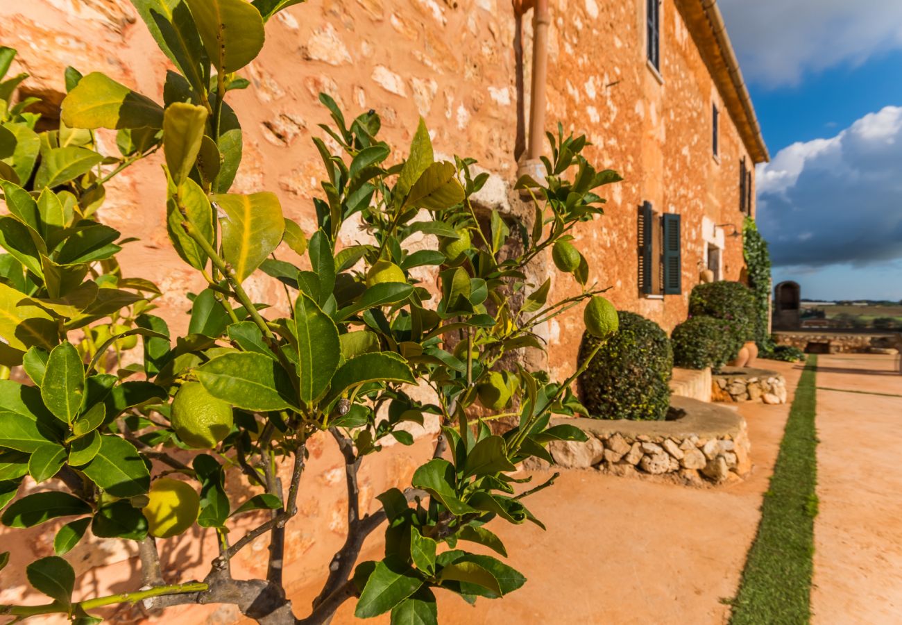 Domaine à Manacor - Villa moderne à Majorque Pleta avec piscine