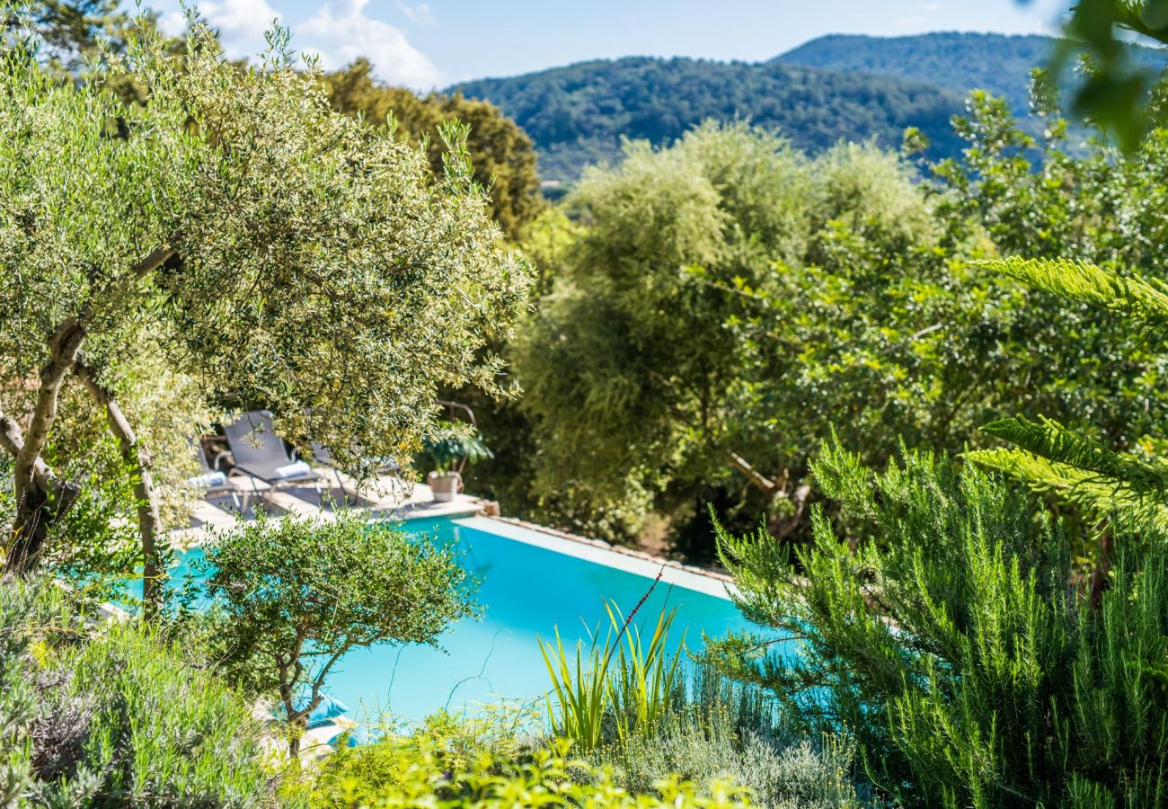 Finca rurale à Majorque avec piscine infinie