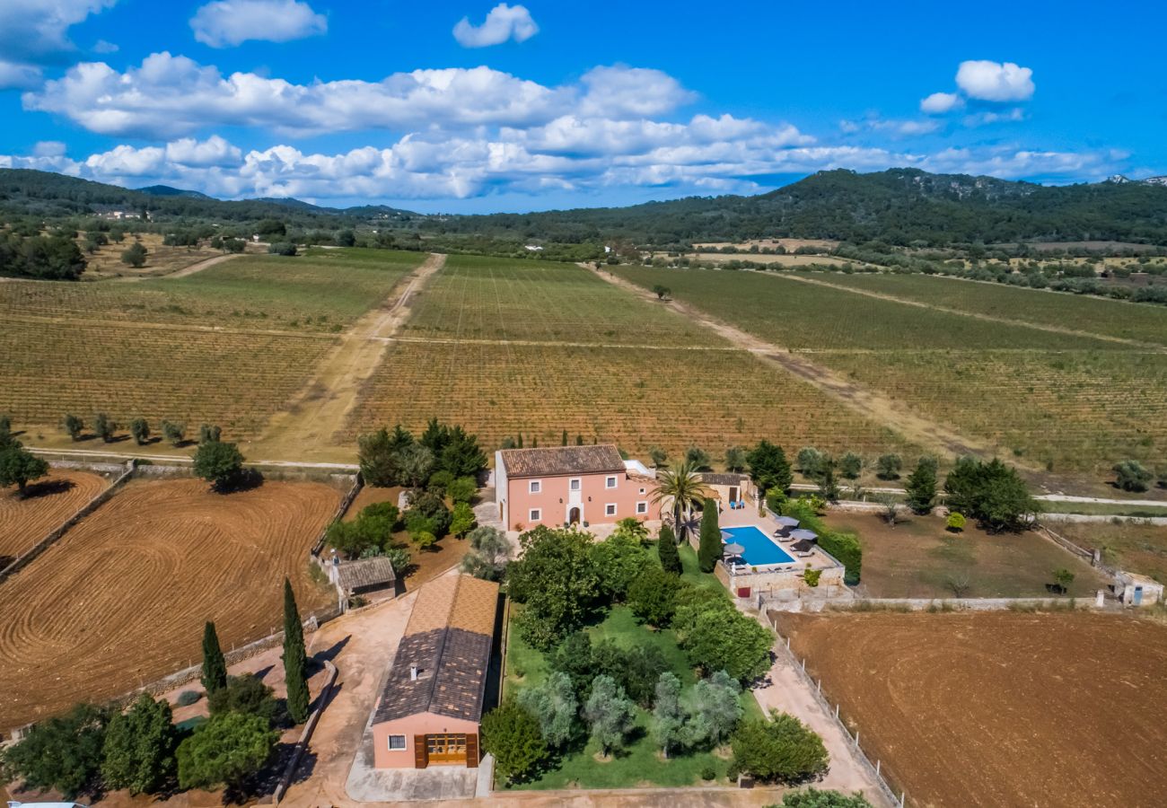 Domaine à Felanitx - Country house in Mallorca Cas Cuni with pool