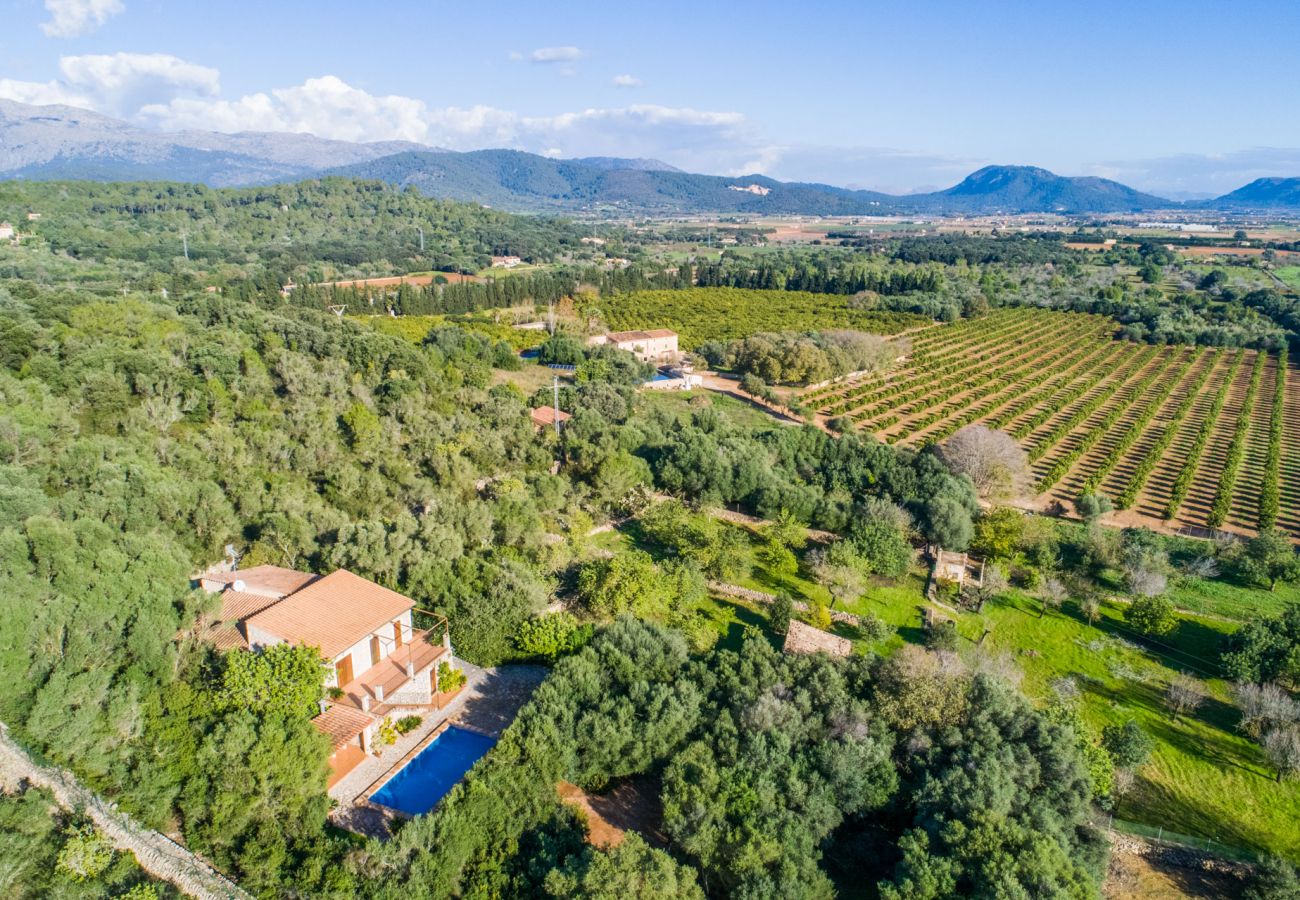 Domaine à Buger - Maison de campagne à Majorque Es Puchet avec piscine