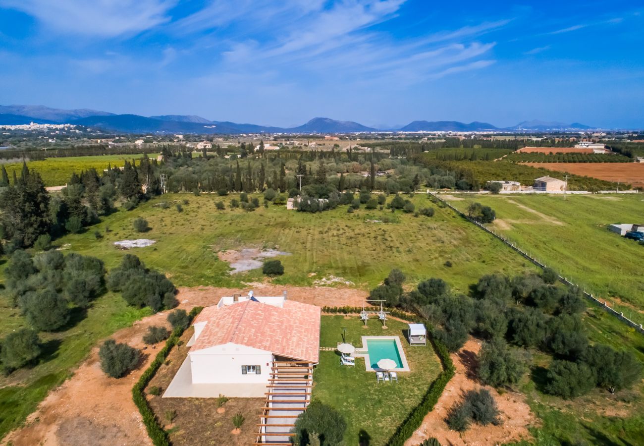 Domaine à Sa Pobla - Ferme de haute qualité avec piscine Son Vivot à Majorque