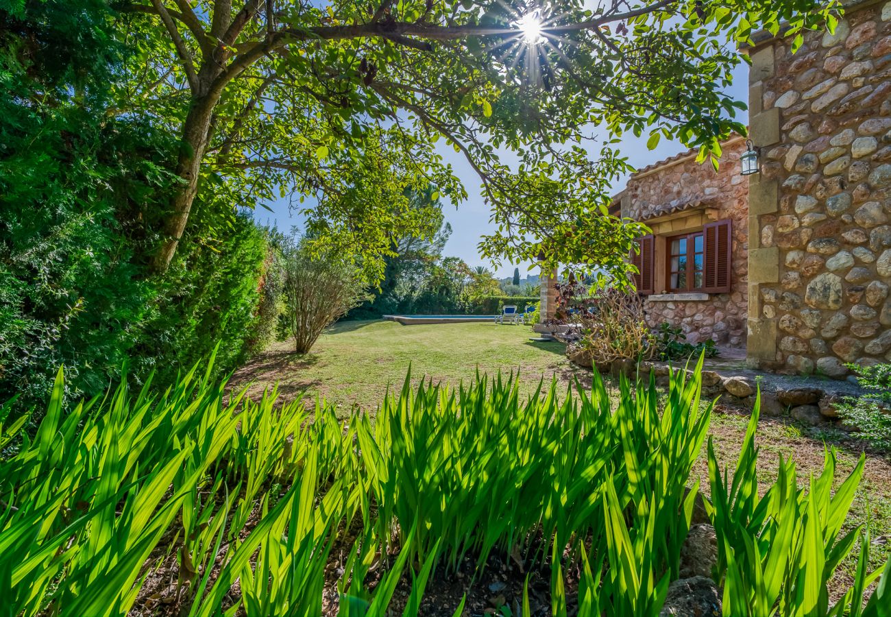 Domaine à Pollensa - Villa à Pollensa Navarro avec piscine