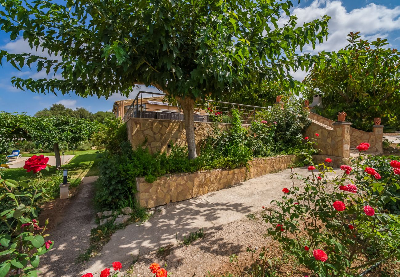 Domaine à Arta - Cette finca rurale avec piscine, Es Sementaret, est située à Majorque.