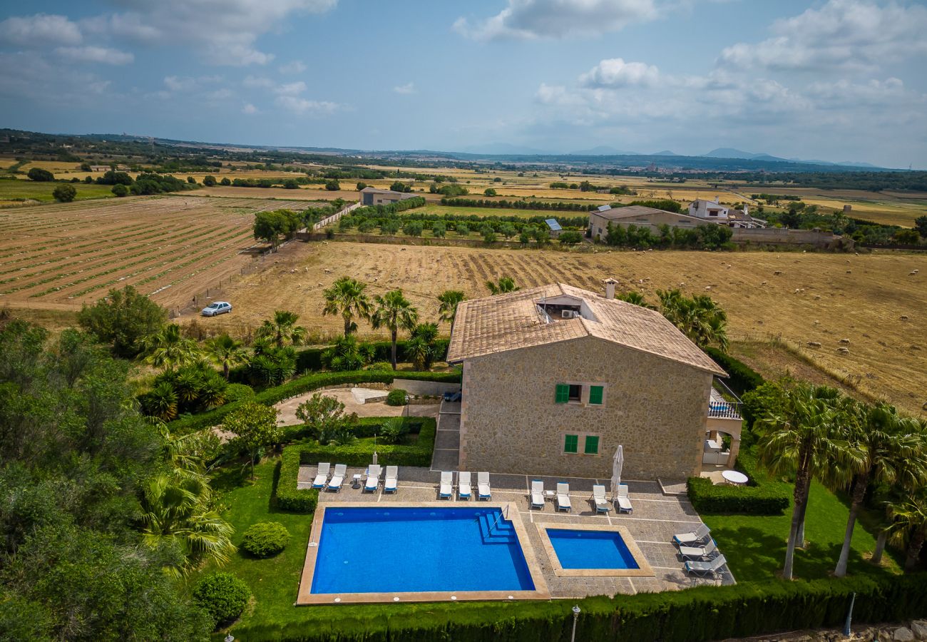 Domaine à Petra - Finca rurale à Majorque El Palmeral avec piscine