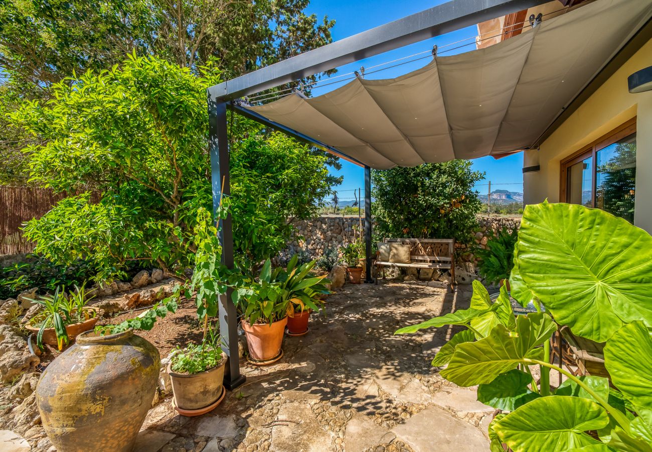 Domaine à Binissalem - Finca avec piscine Can Davero à Majorque.