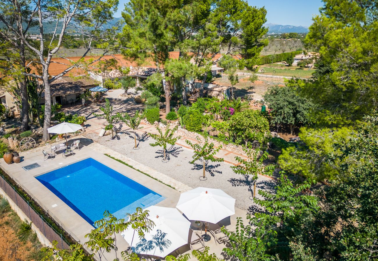 Domaine à Binissalem - Finca avec piscine Can Davero à Majorque.