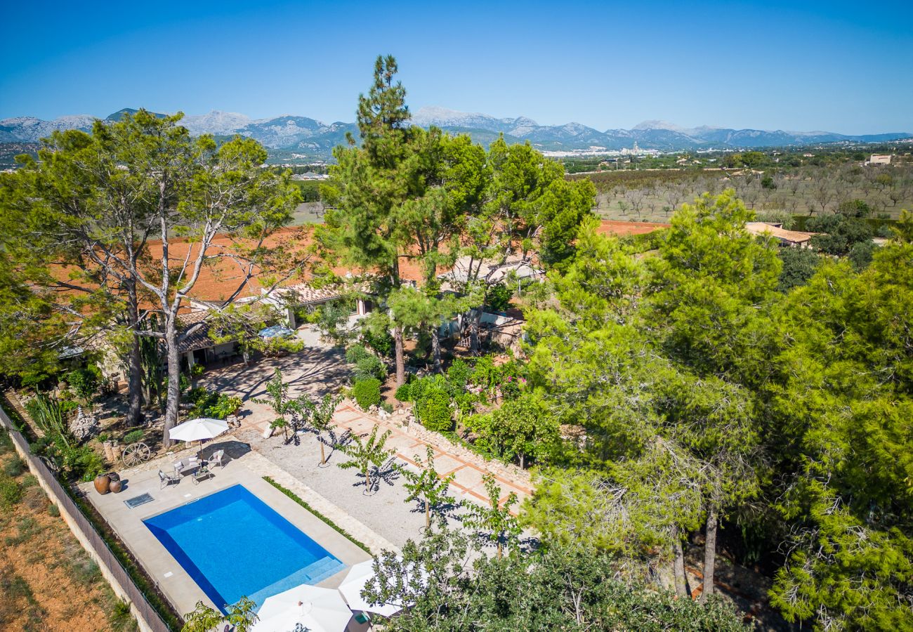 Domaine à Binissalem - Finca avec piscine Can Davero à Majorque.