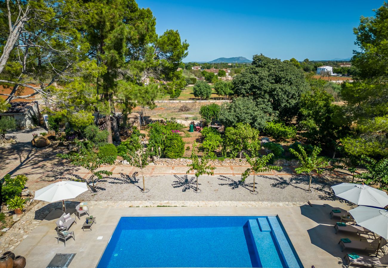 Domaine à Binissalem - Finca avec piscine Can Davero à Majorque.