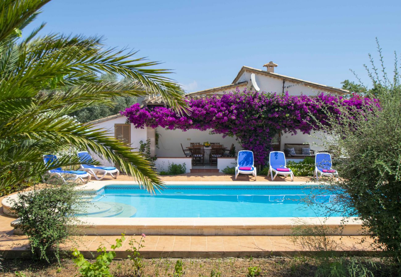 Finca avec terrasse et piscine à Pollensa.