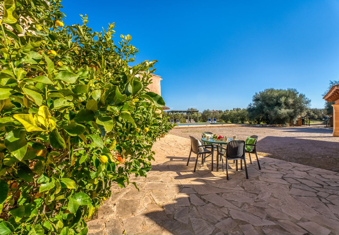 Domaine à Felanitx - Finca rustique à Majorque Can Xim avec piscine