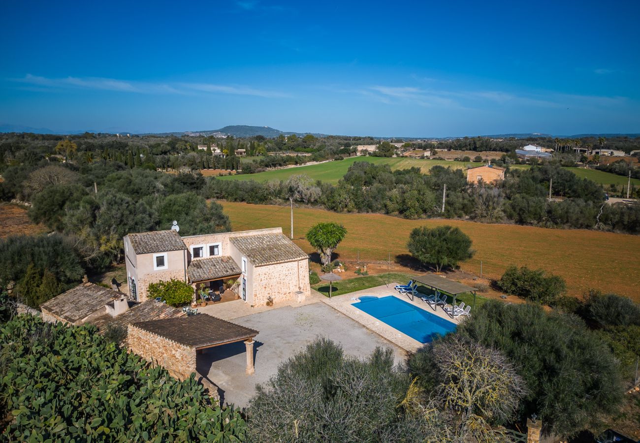 Domaine à Felanitx - Finca rustique à Majorque Can Xim avec piscine