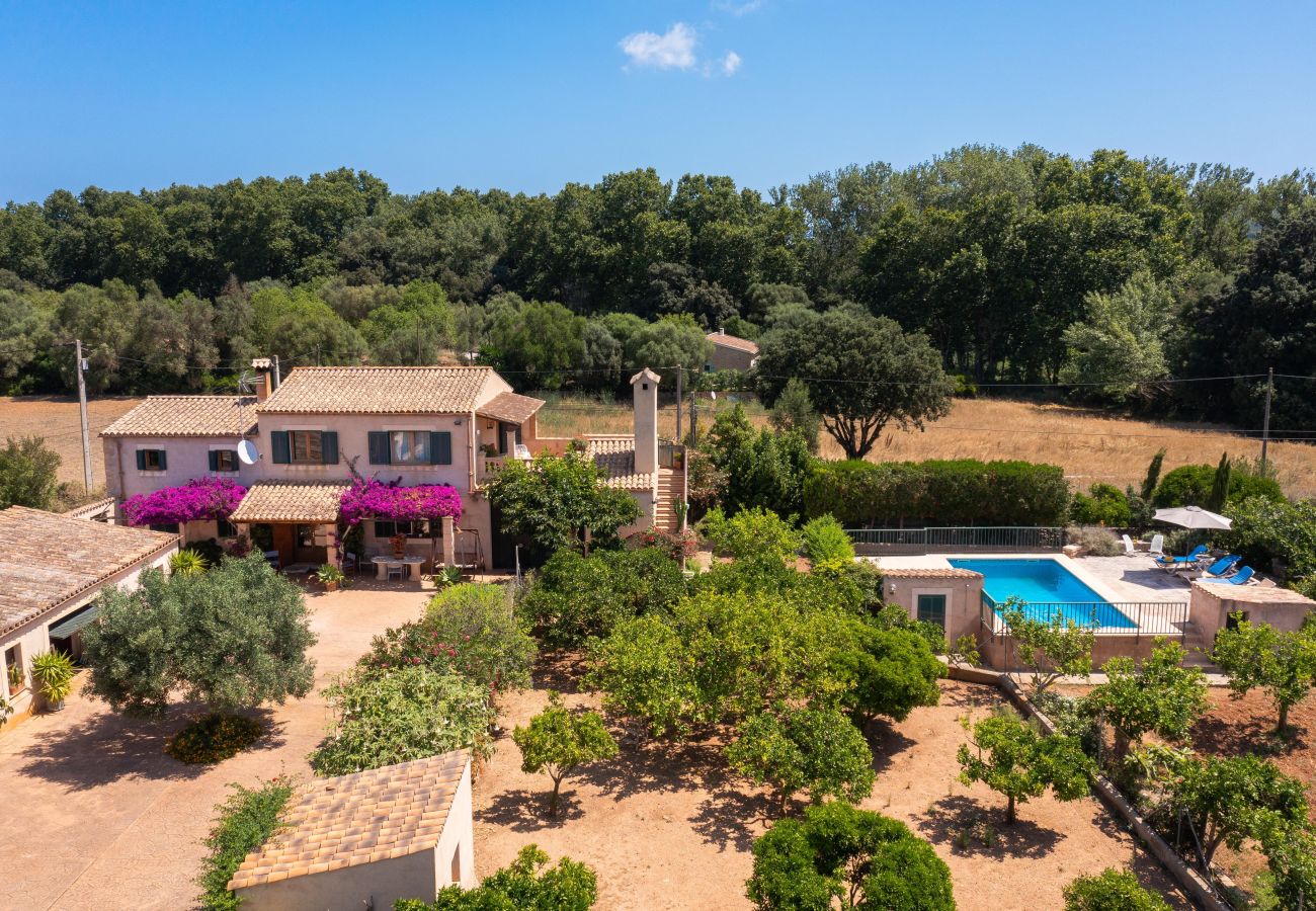 Lovely appartment with private pool in Mallorca