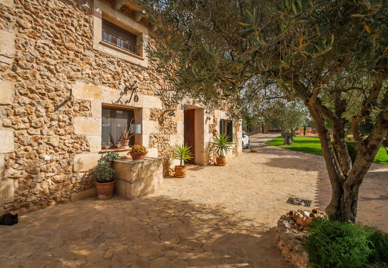 Maison tranquille à la campagne avec piscine